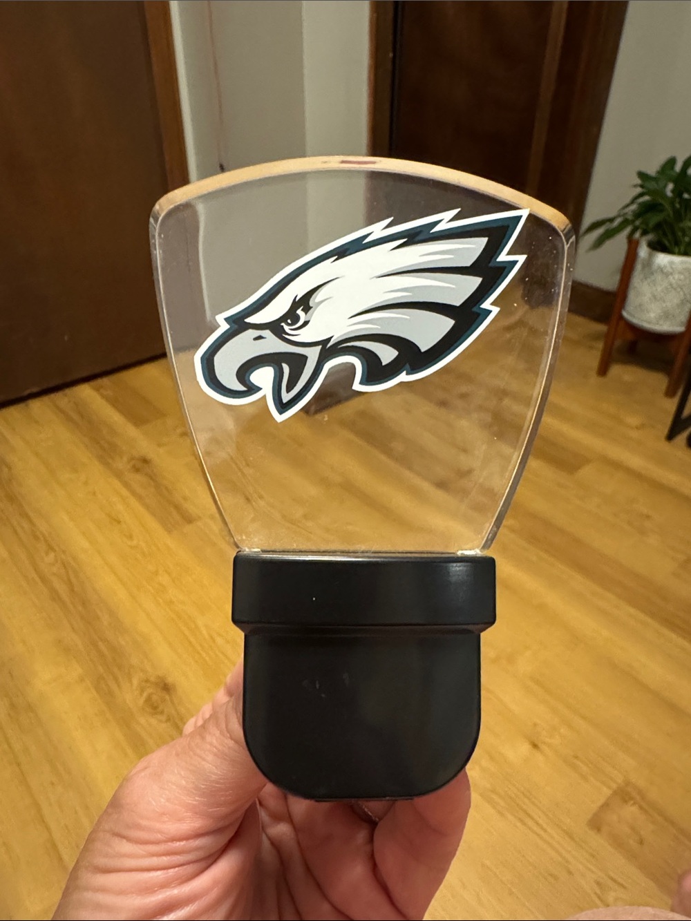 Philadelphia Eagles LED Night Light - Black & Clear
